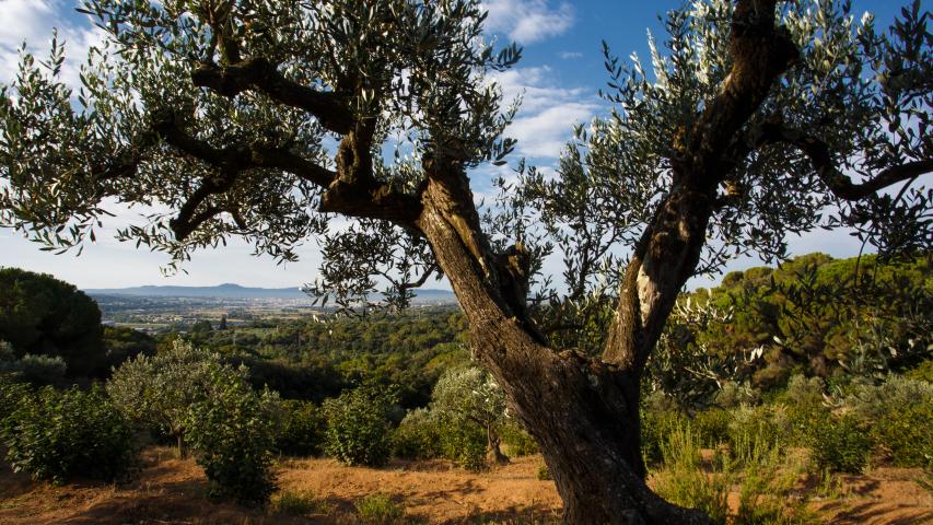 Ruta La Doma