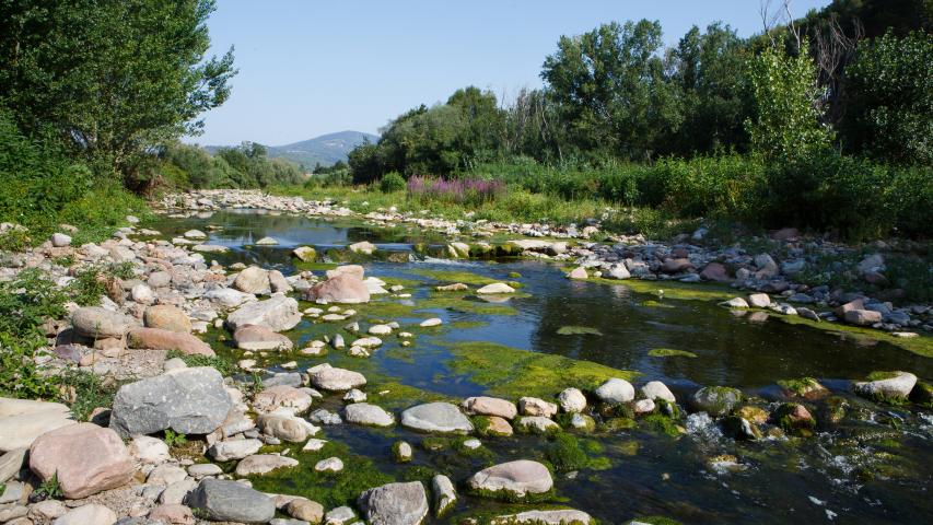 Paisatge de ribera al camí del riu Congost
