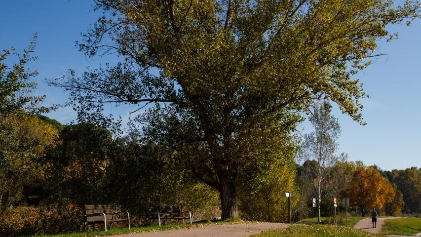 Camí del Congost