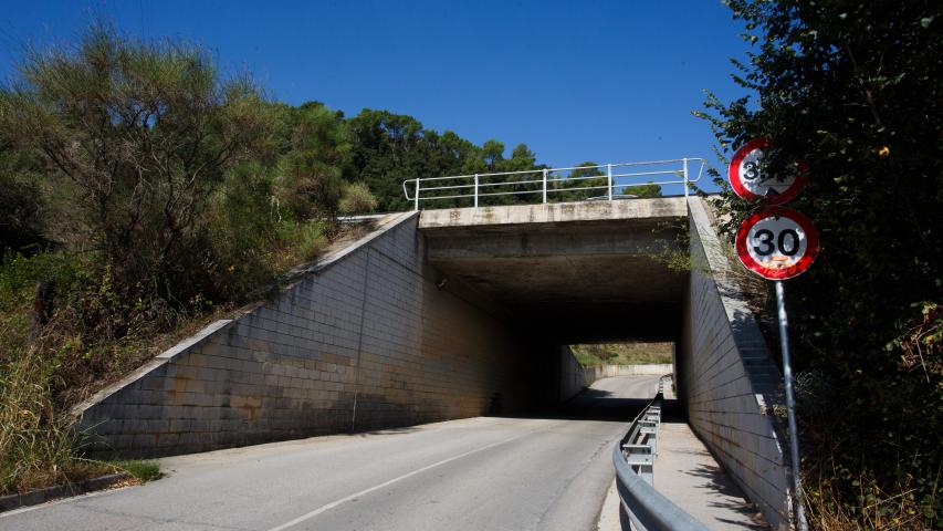 puente