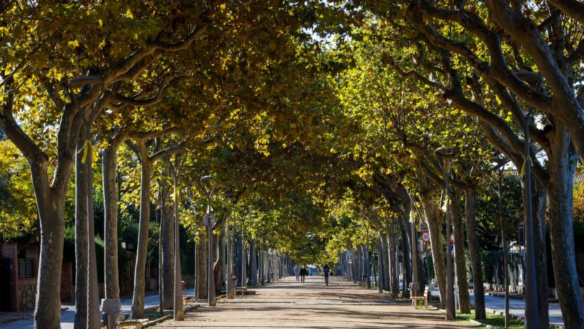 Passeig