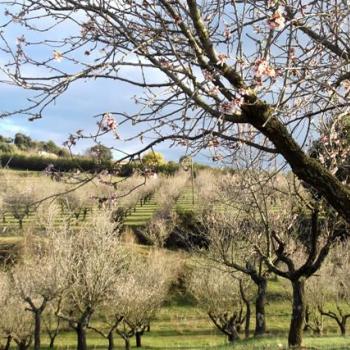 La Garriga rural: paisatges de secà