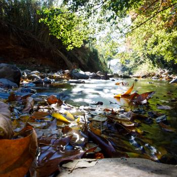 Riu, aigua, pedres i natura