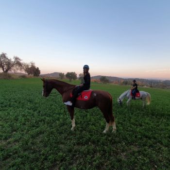 Paseo con caballos