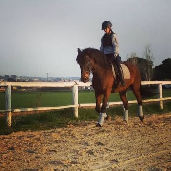 Sortida amb cavalls