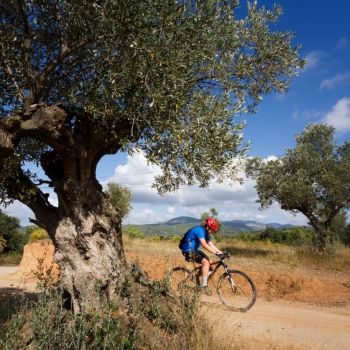 Tour à travers Malhivern, garçon à vélo avec montagne derrière