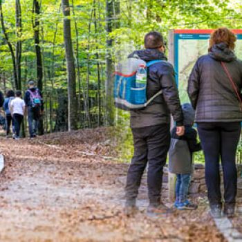 Passejades guiades al Montseny